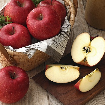 qrkMZ Tӂ (DSF-80W)y͂ԁF11{`z